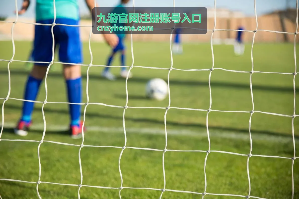 九游官网注册账号入口注册资料填写前的准备清单示意