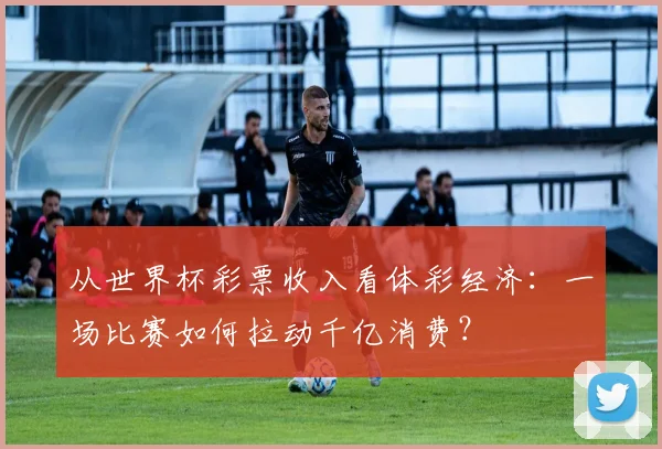 从世界杯彩票收入看体彩经济：一场比赛如何拉动千亿消费？